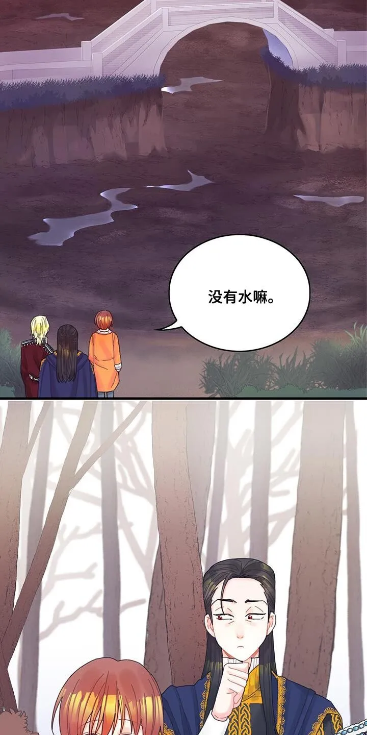 第42章：变成猫 第3页