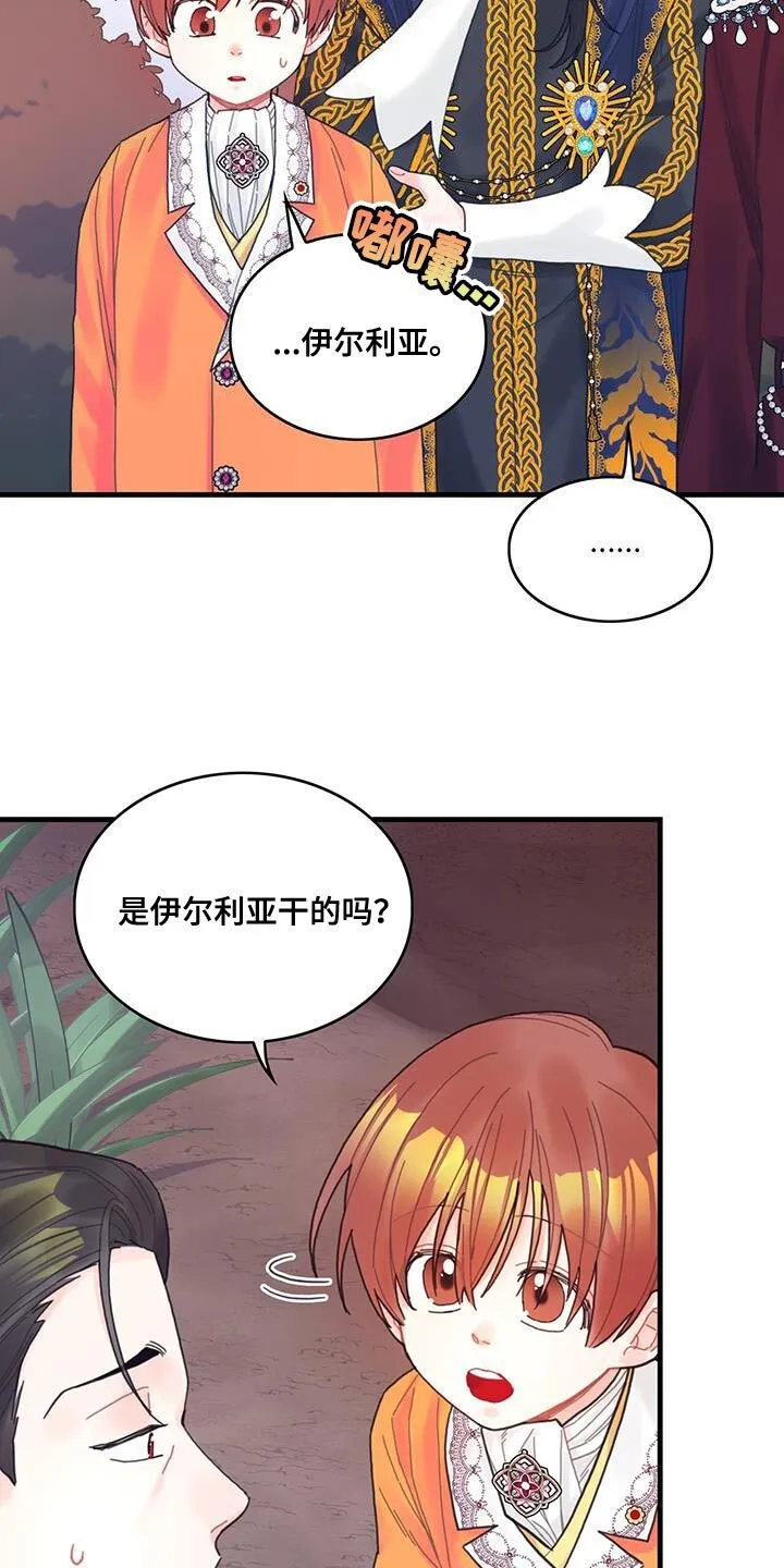 第42章：变成猫 第4页
