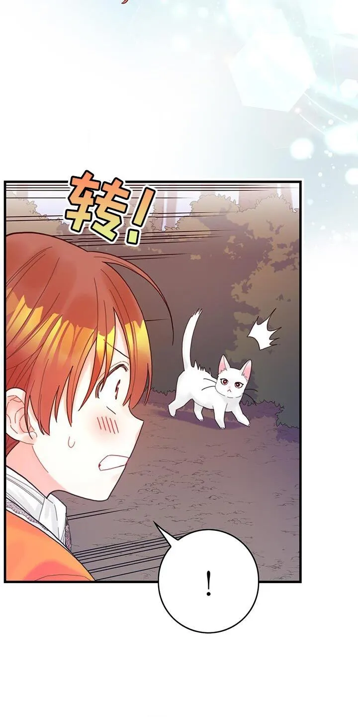 第42章：变成猫 第11页