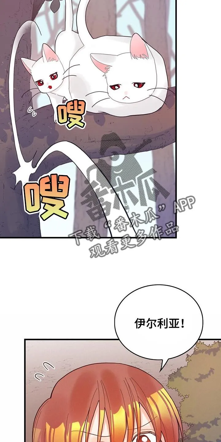 第42章：变成猫 第13页
