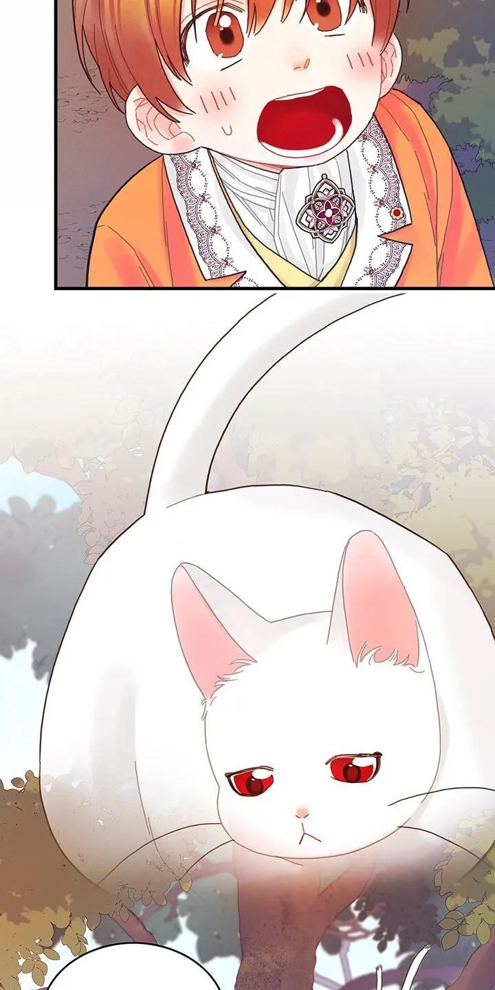 第42章：变成猫 第14页
