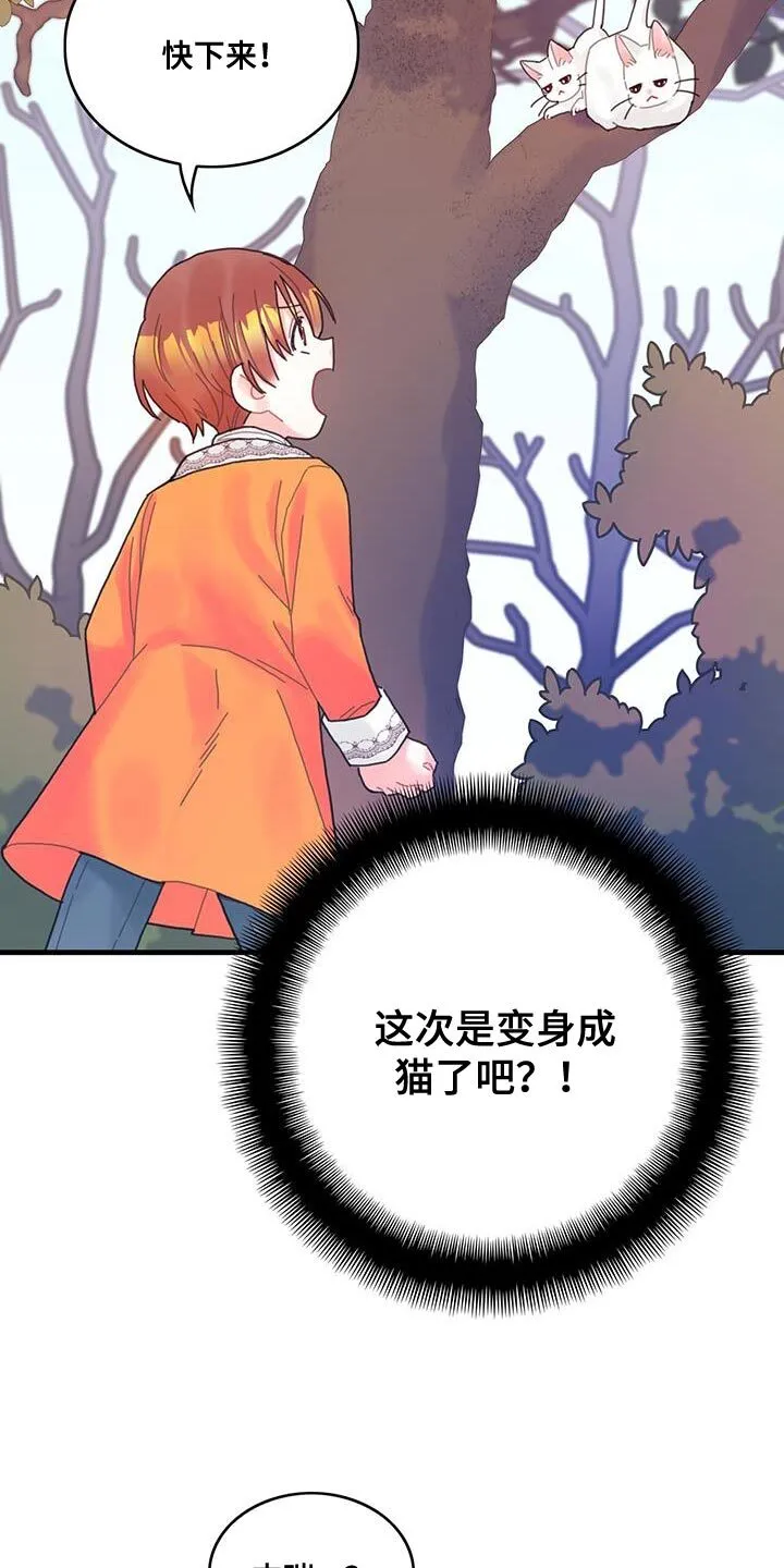 第42章：变成猫 第15页