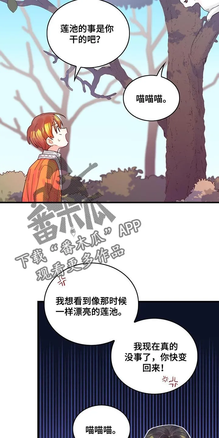 第42章：变成猫 第18页