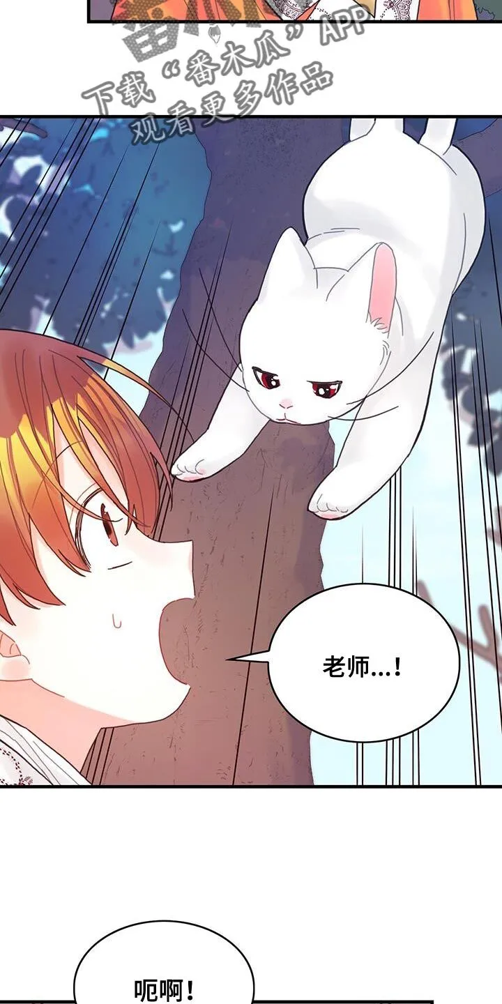 第42章：变成猫 第21页