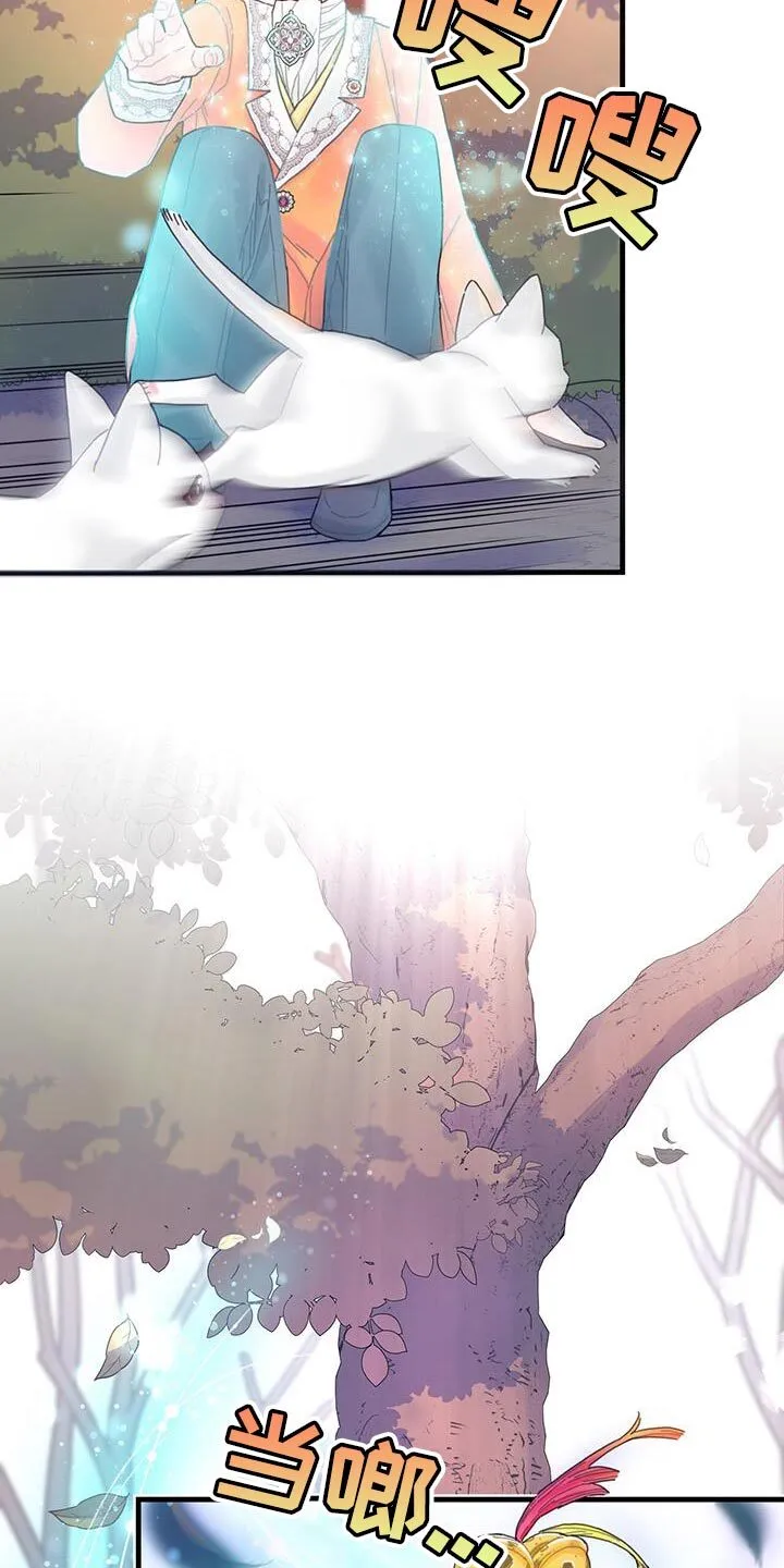 第42章：变成猫 第27页