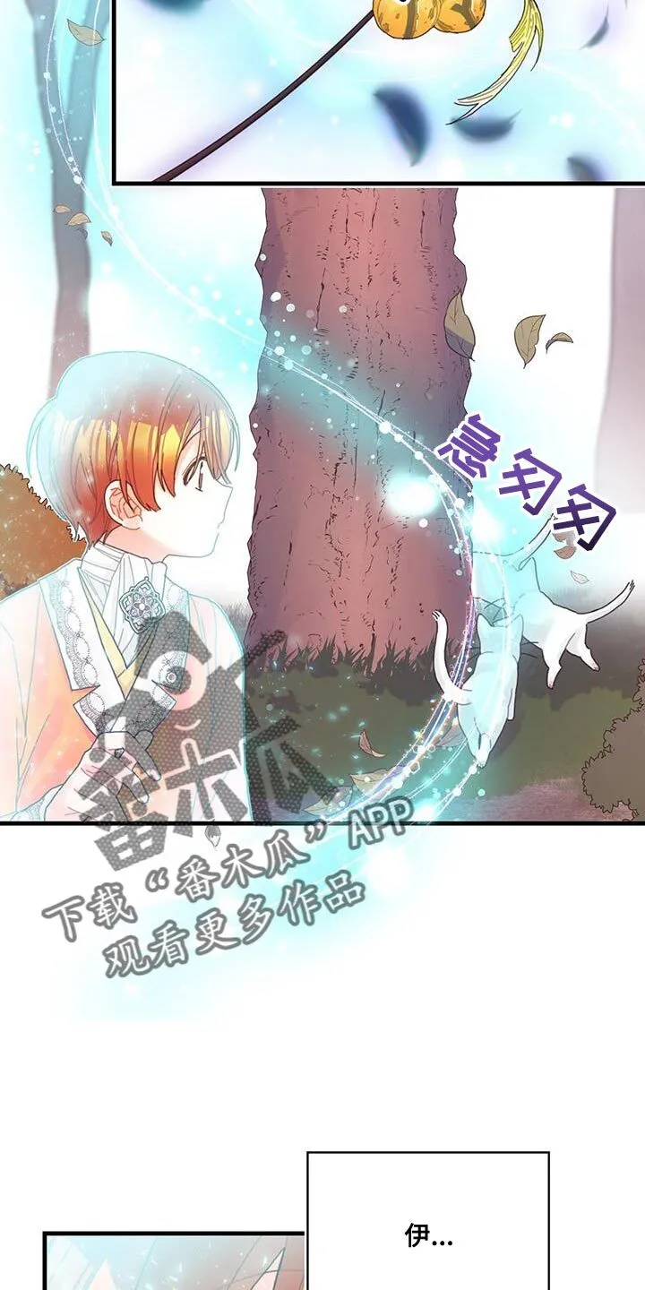 第42章：变成猫 第28页