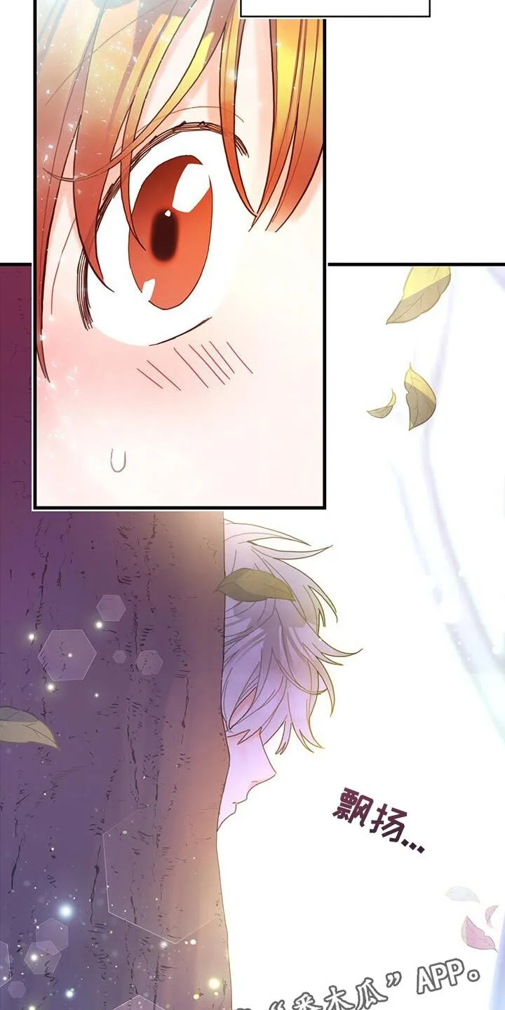第42章：变成猫 第29页