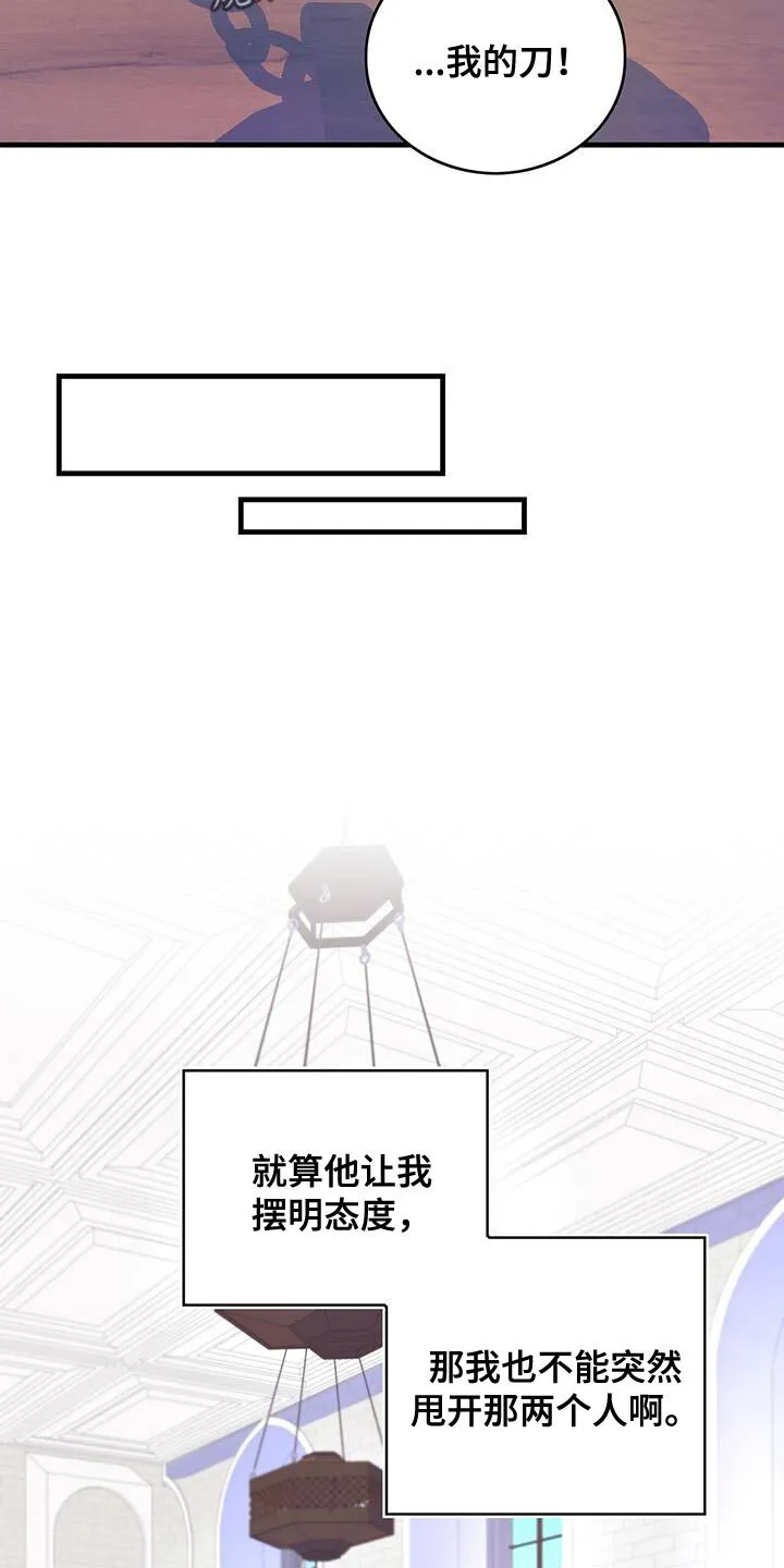 第52章：虚张声势 第17页