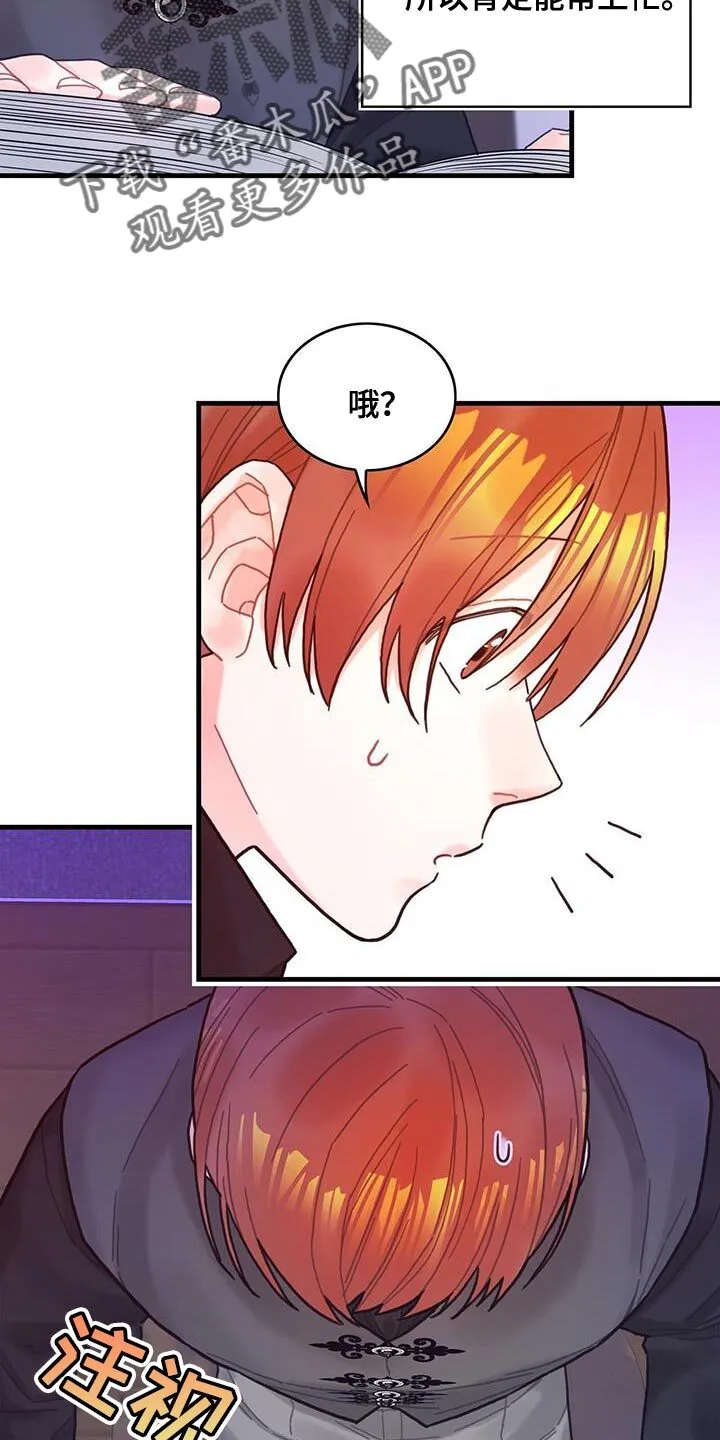 第61章：结局目录 第19页