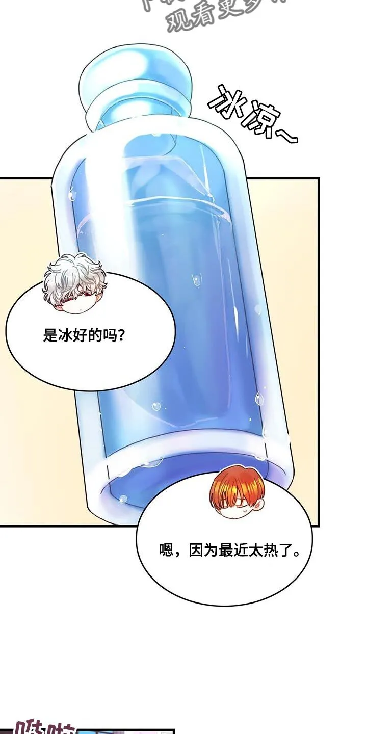 第65章：武斗会 第13页