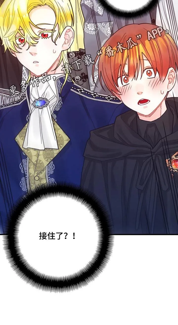 第81章：四皇子 第25页