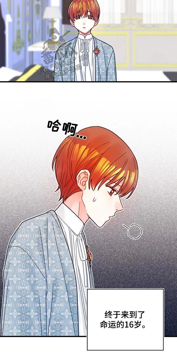 第84章：生日 第5页