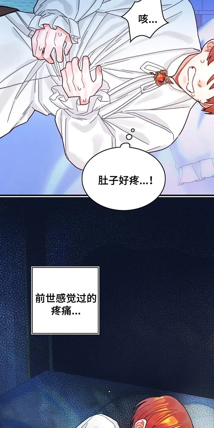 第91章：前世的疼痛 第25页