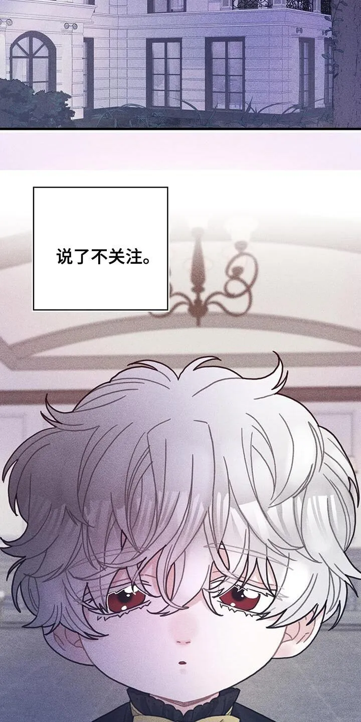 第98章：我不喜欢猫 第11页