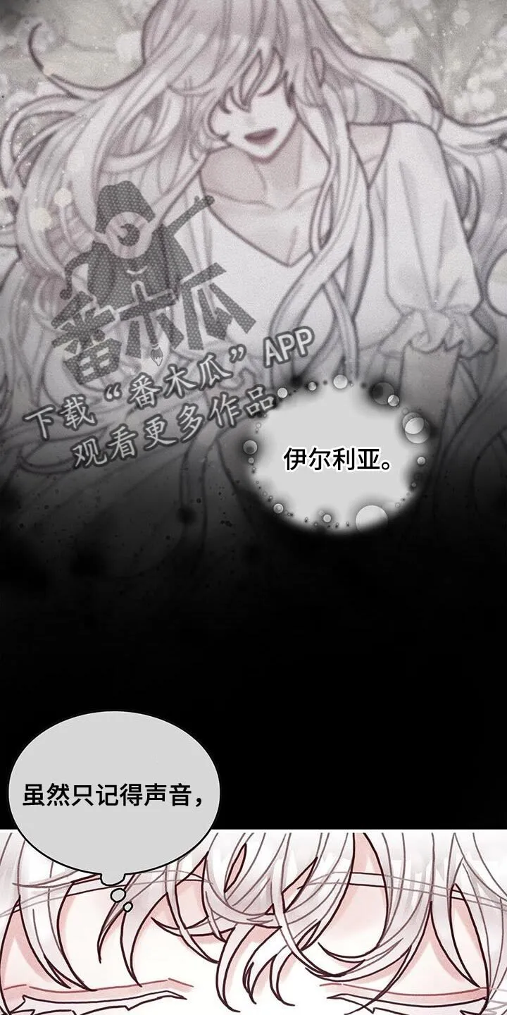 第98章：我不喜欢猫 第19页