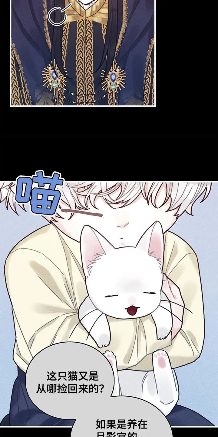 第98章：我不喜欢猫 第26页