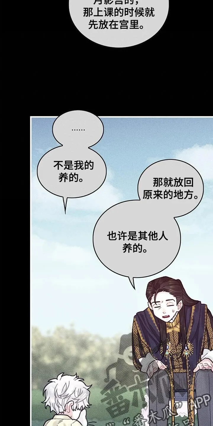 第98章：我不喜欢猫 第27页