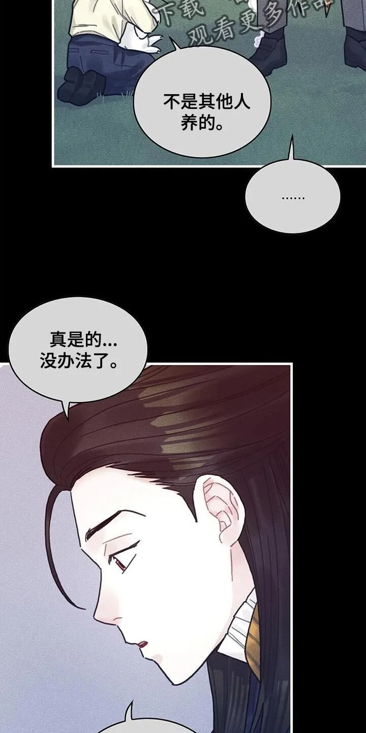 第98章：我不喜欢猫 第28页