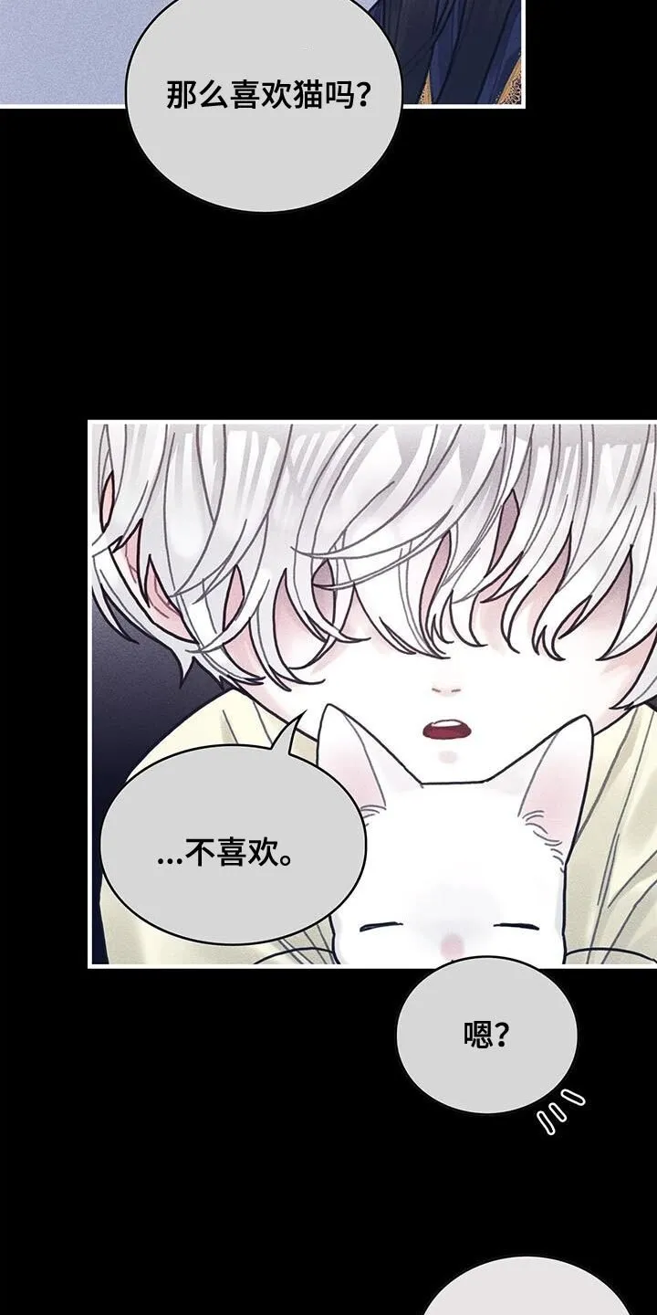 第98章：我不喜欢猫 第29页
