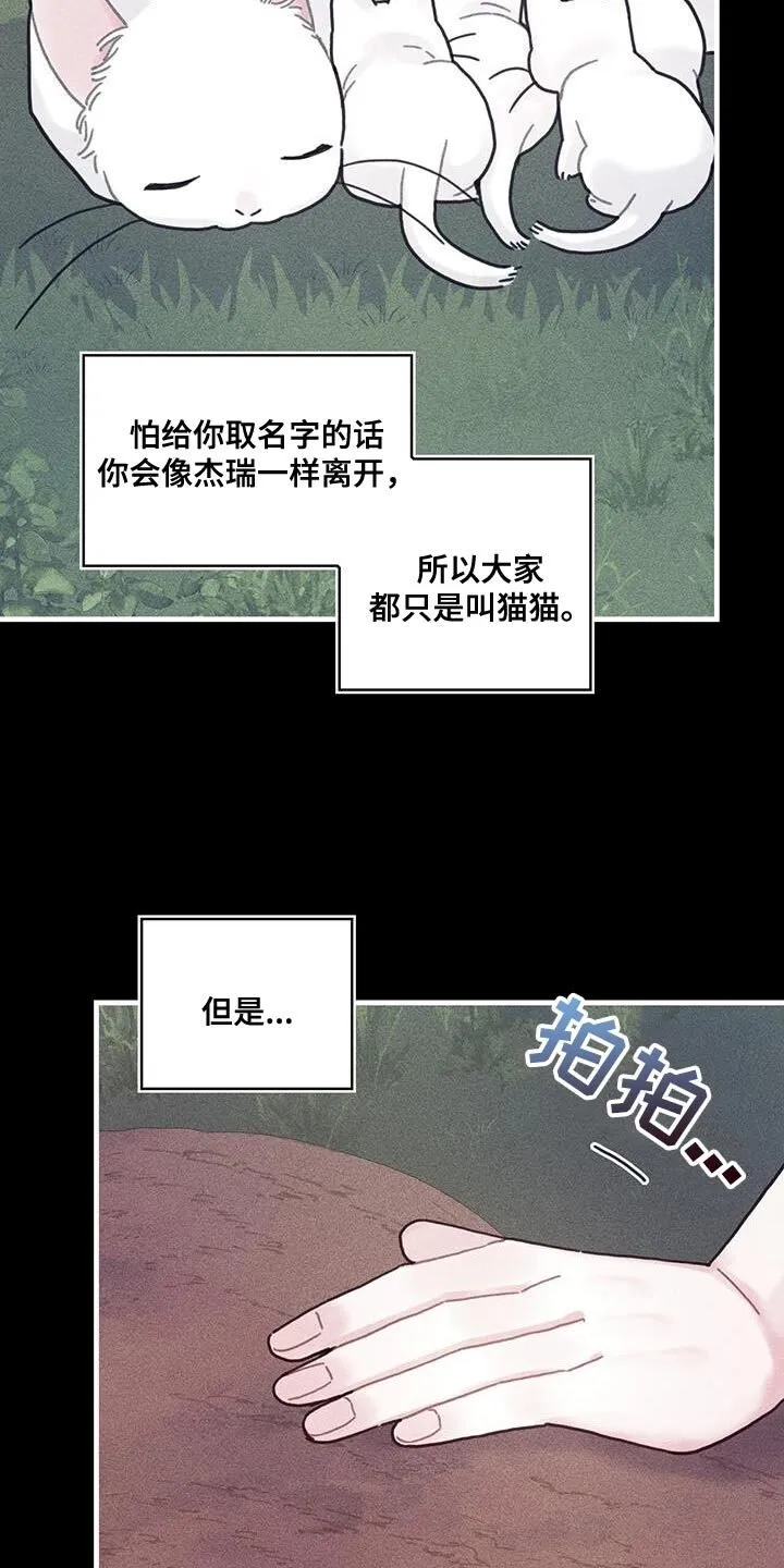 第100章：我醒悟了 第27页