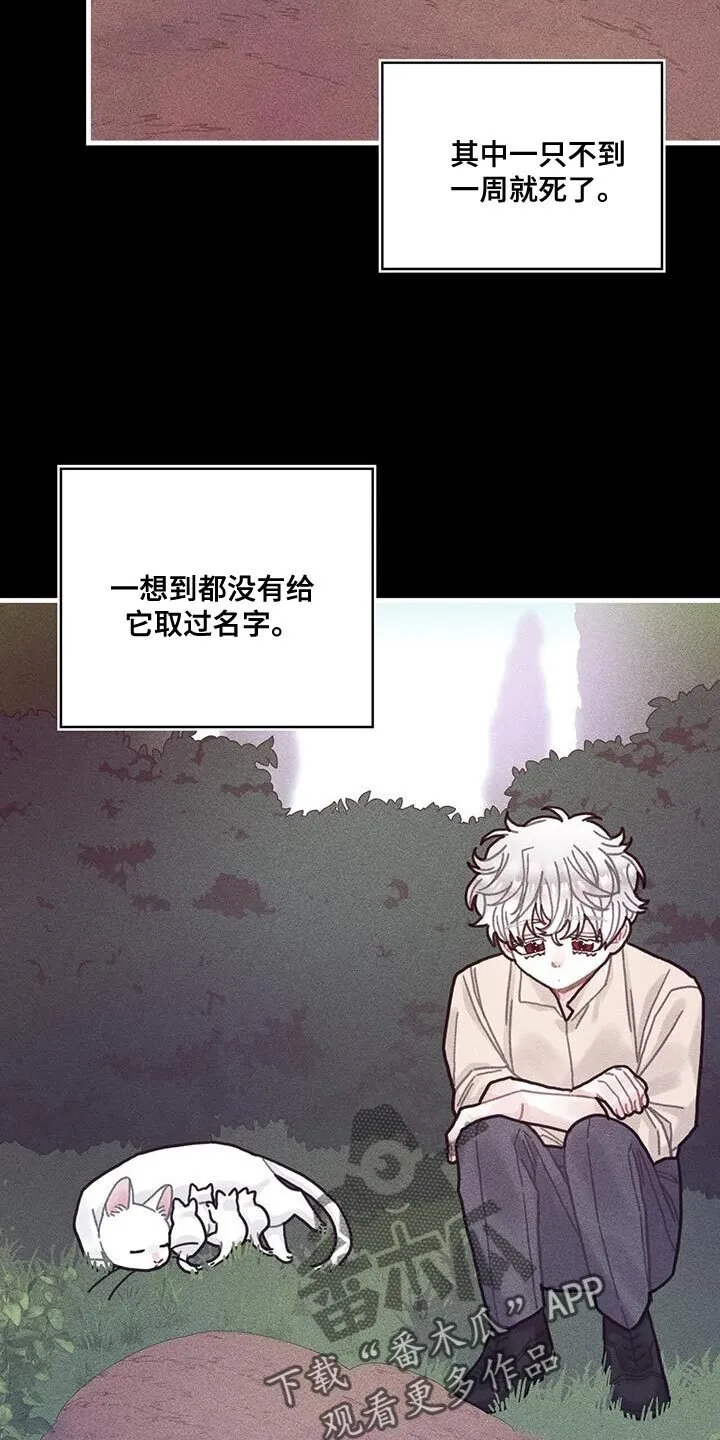 第100章：我醒悟了 第28页