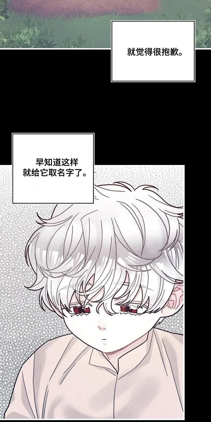 第100章：我醒悟了 第29页