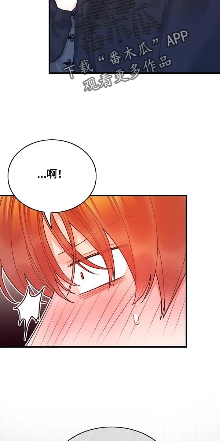 第140章：【第二季】完美 第14页