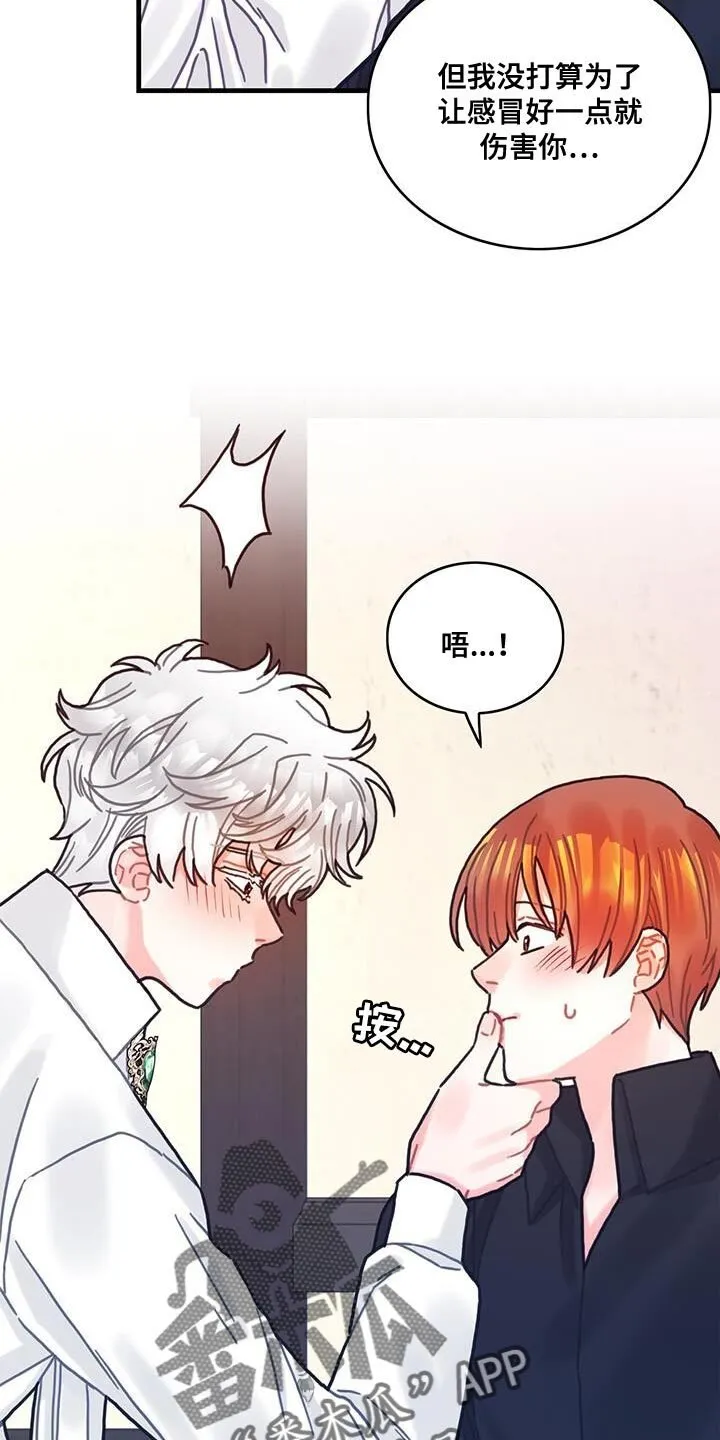 第143章：【第二季】温柔的眼神 第13页