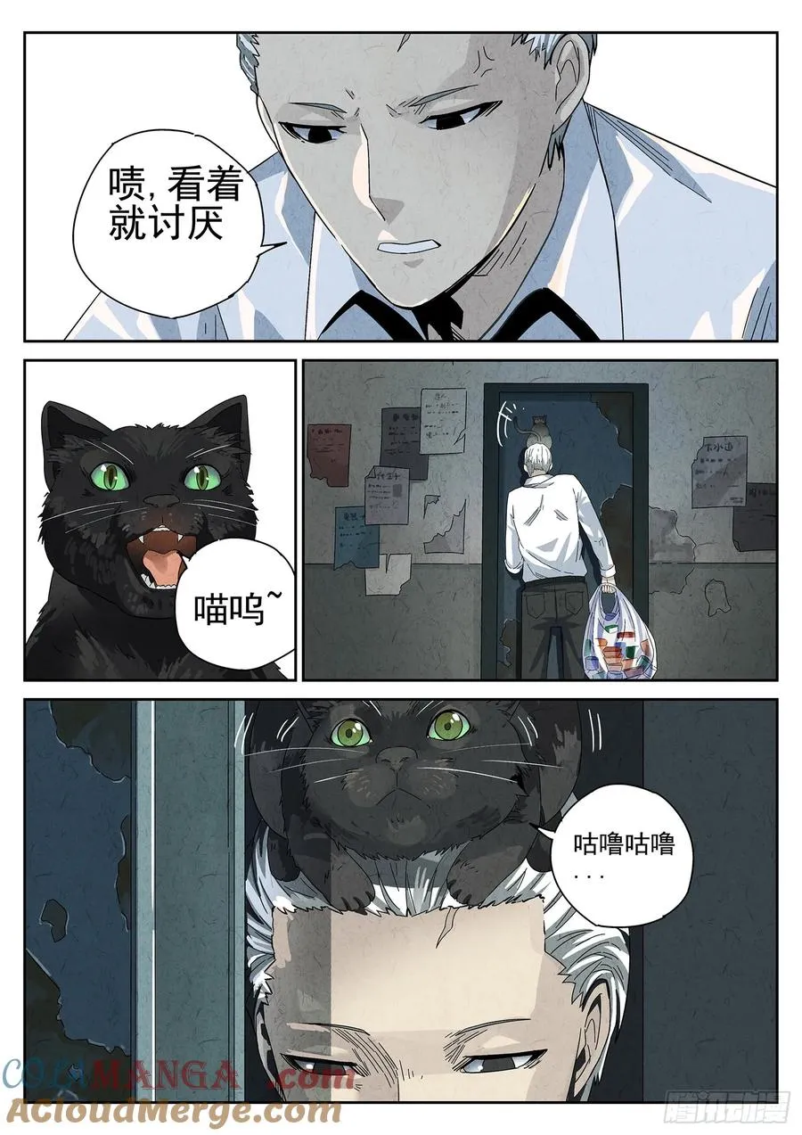 番外 猫爪拌饭 第5页