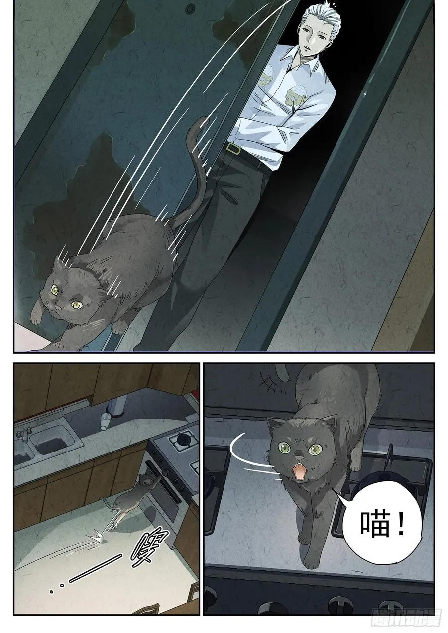 番外 猫爪拌饭 第6页