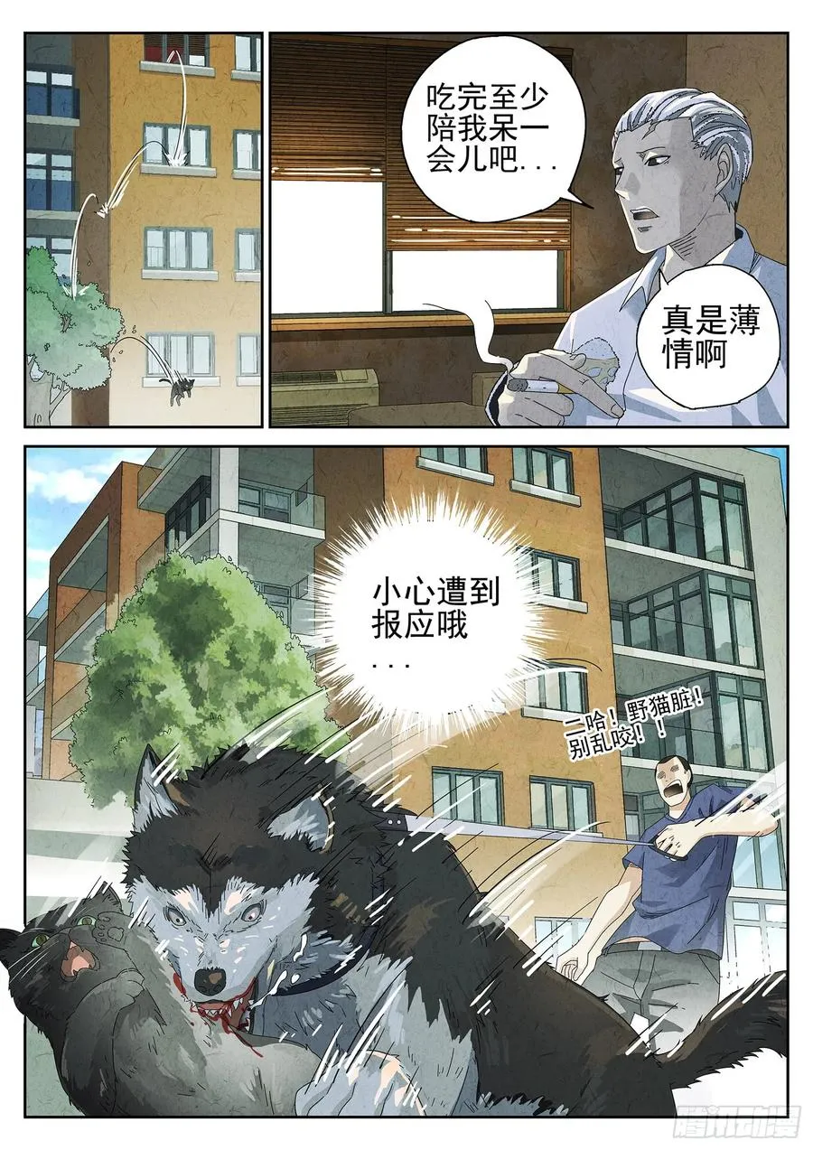 番外 猫爪拌饭 第14页