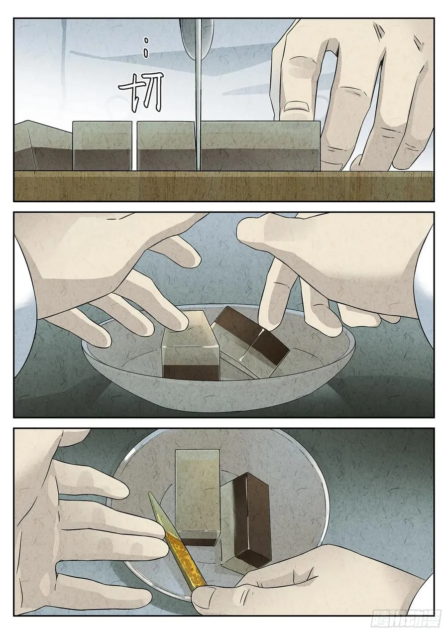 第十八话 穿山甲料理（二） 第2页