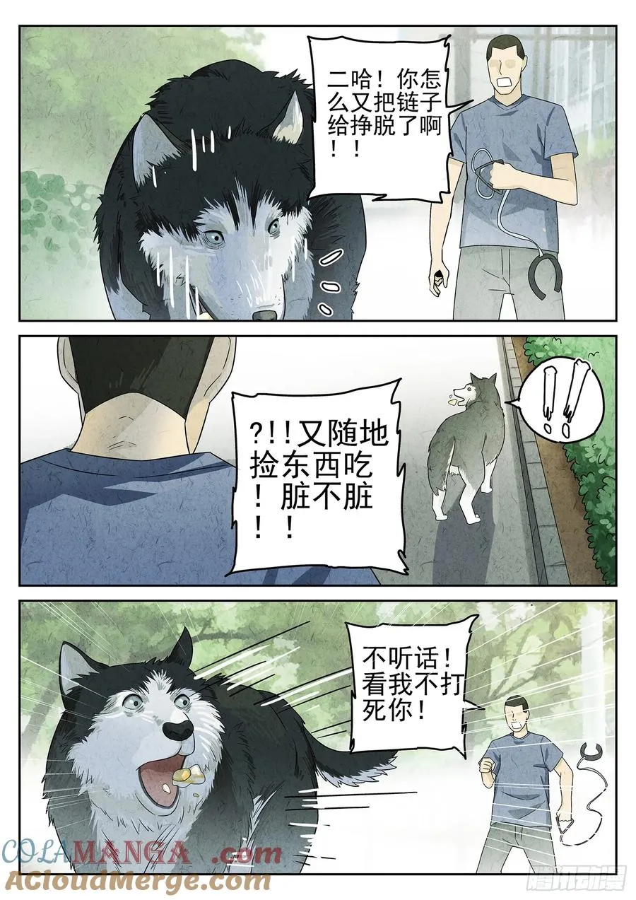 第二十一话 最完美的煎蛋（二） 第19页