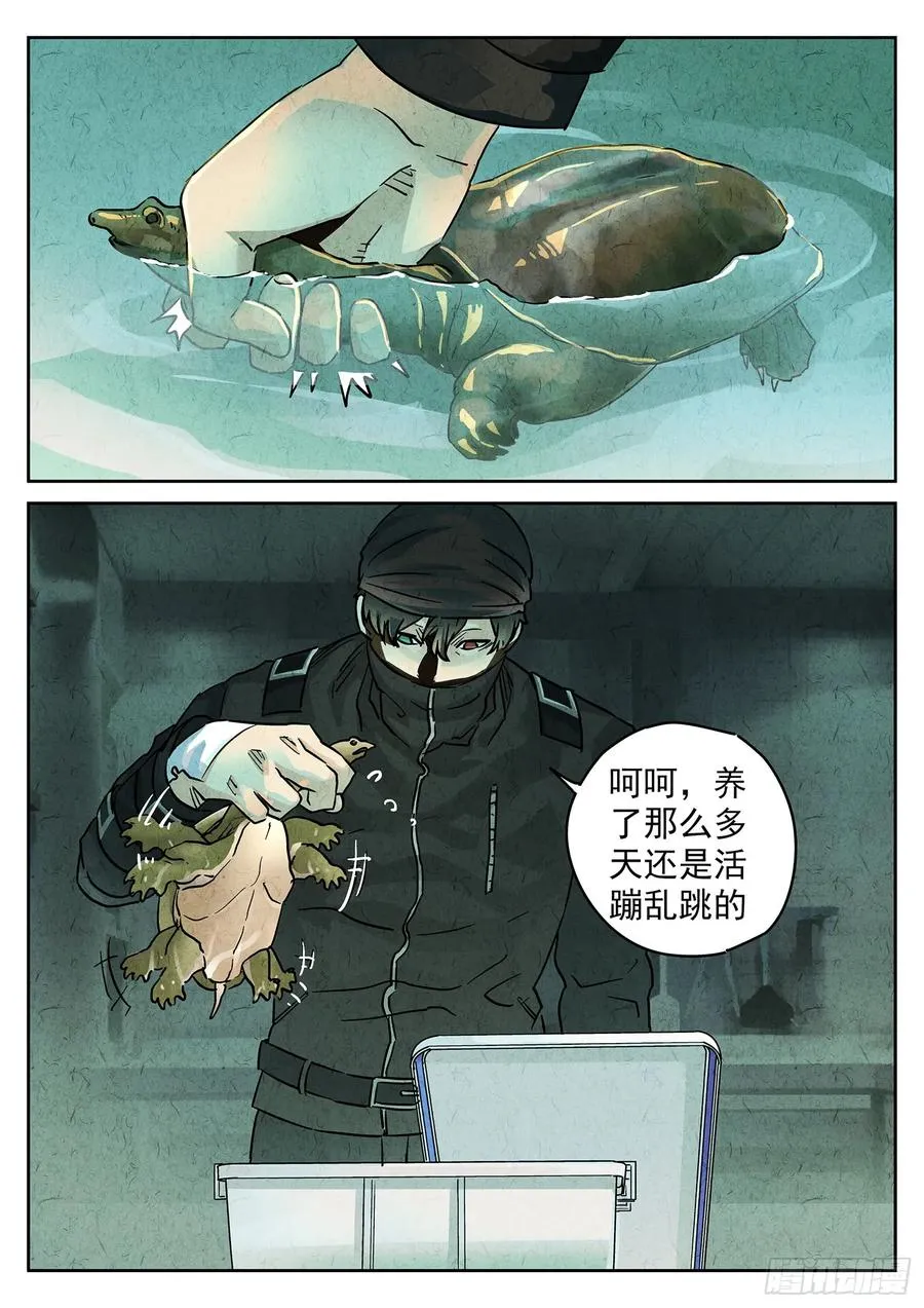 第四一话 陶锅甲鱼和甲鱼粥（五） 第6页