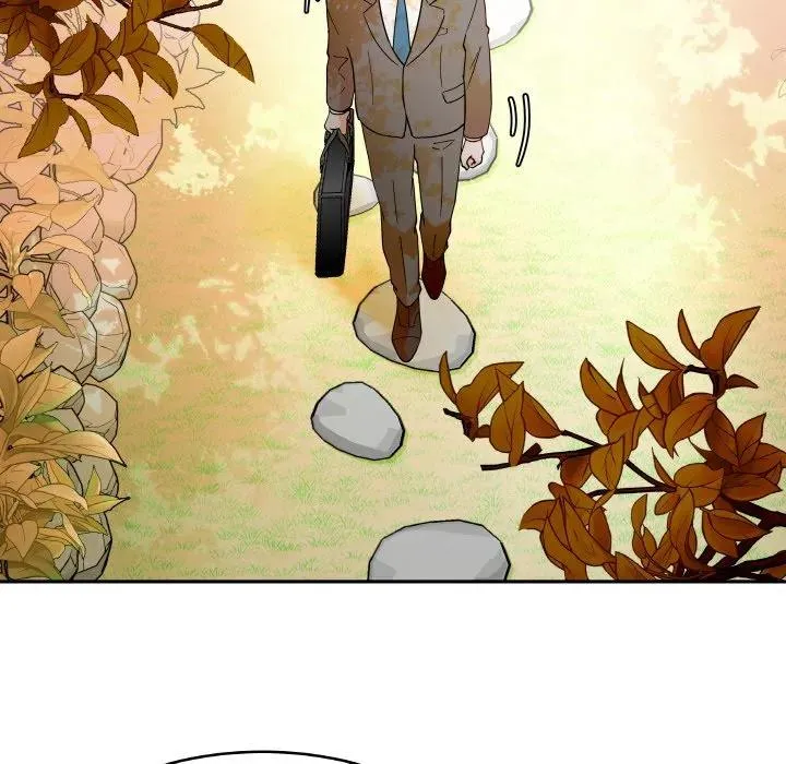 5 第41页