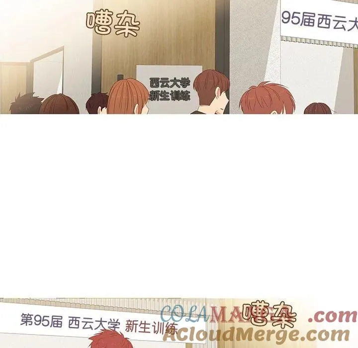 4 第43页