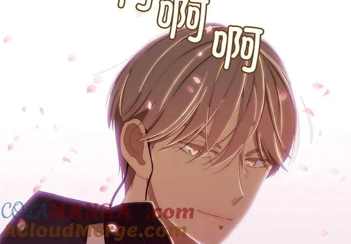 5 第4页