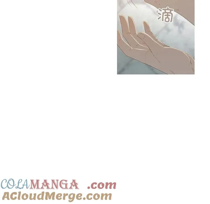 8 第41页