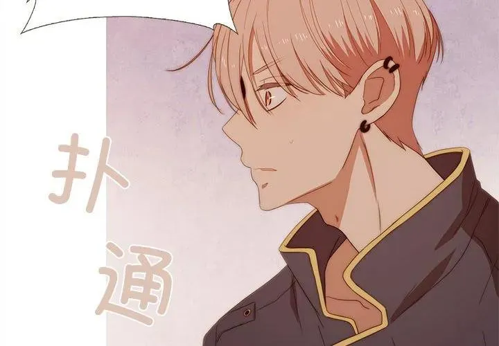 11 第4页