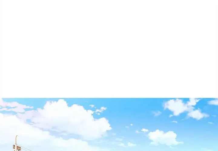 13 第3页