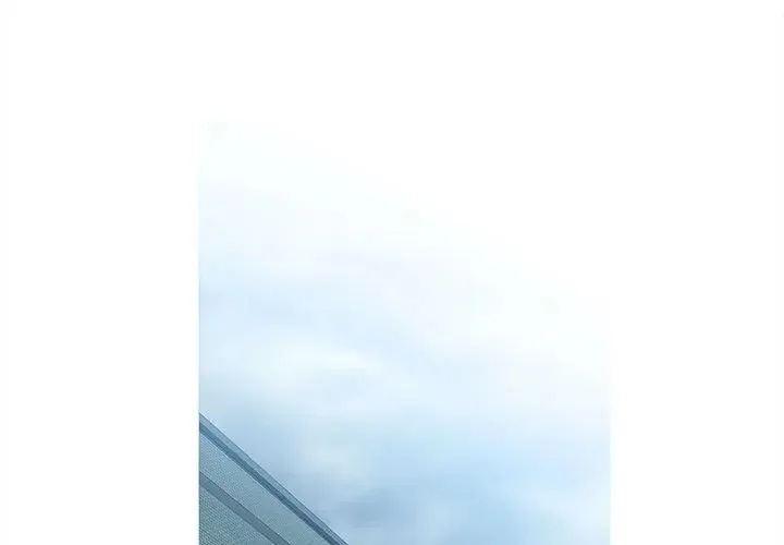 14 第3页