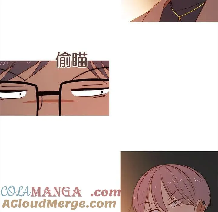 17 第31页
