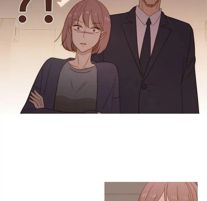 17 第51页