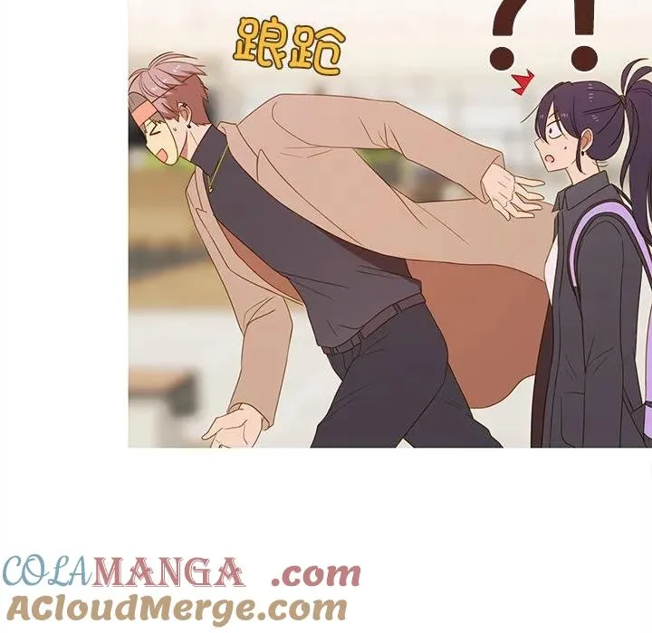 17 第67页