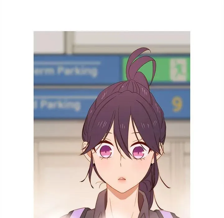 17 第80页