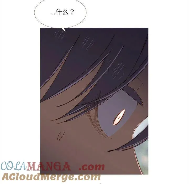 19 第43页