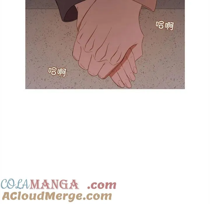 19 第49页