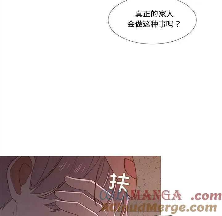 19 第61页