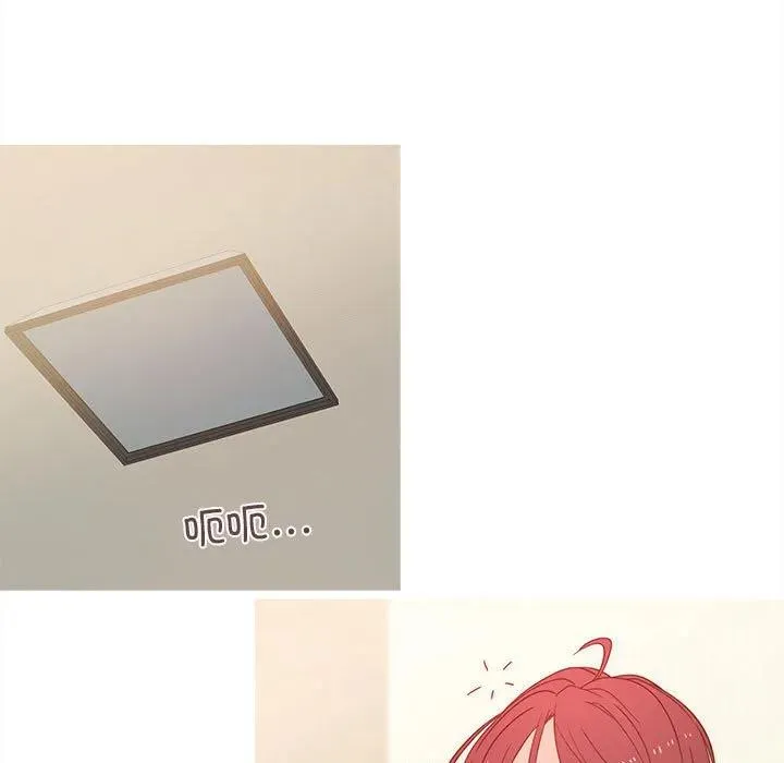 25 第5页