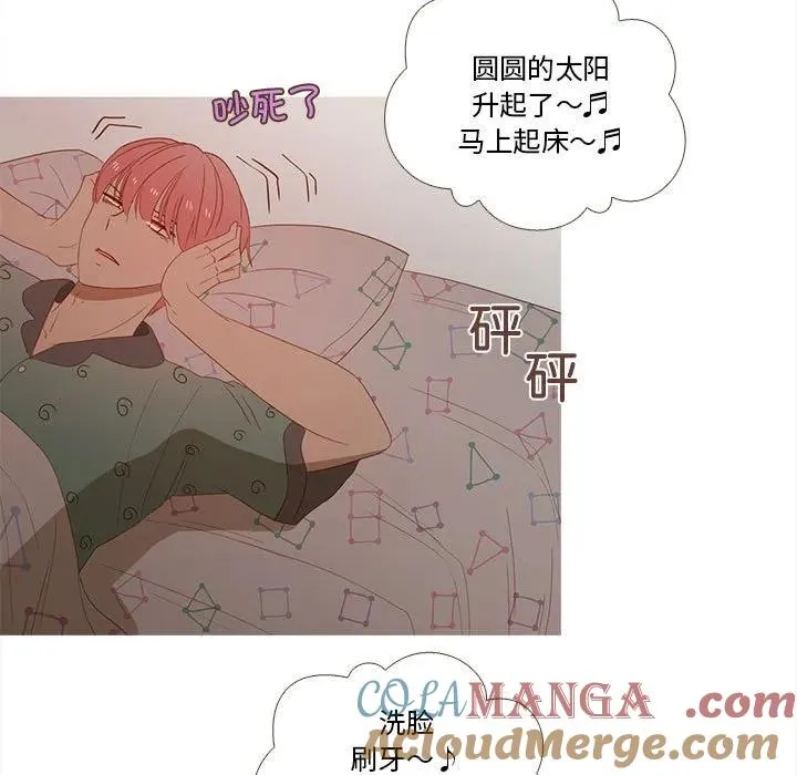 25 第25页